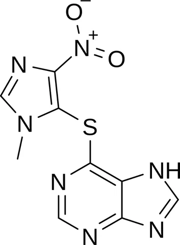 azathioprine: a purine antimetabolite immunosuppressant used in organ transplant and autoimmune diseases to...