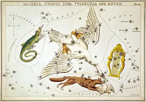 azelfafage: the first component of Pi¹ Cygni, a binary star in the northern constellation of Cygnus