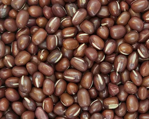 azuki bean: an annual vine (Vigna angularis), widely grown throughout East Asia and the Himalayas for its small...