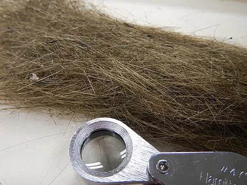 pele's hair: the volcanic glass threads or fibers formed when small particles of molten material are thrown into...