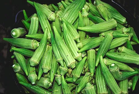 lady's finger: synonym of okra: the edible capsules of Abelmoschus esculentus