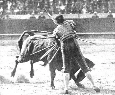 volapié: a mortal thrust to the bull. The bullfighter runs towards the stationary bull, facing it head-on,...