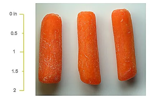 baby-cut carrot: a small finger-shaped piece cut from a larger carrot