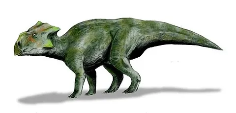 bagaceratopsid: any dinosaur of the genus †Bagaceratops