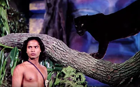 bagheera: a cat name; a name given to pet cats