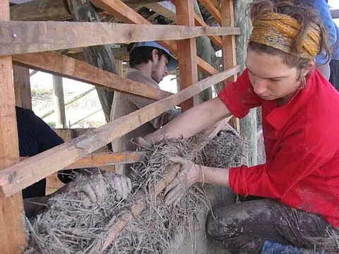 bahareque: construction material similar to adobe, consisting of clay or mud reinforced with sticks or canes