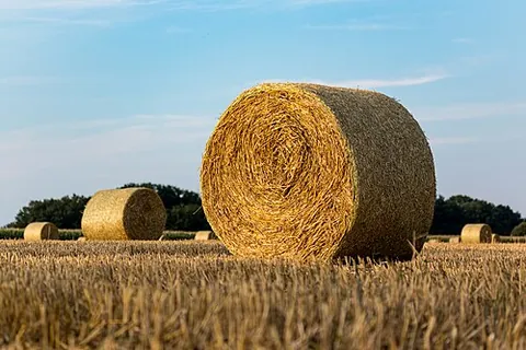 bale: evil, especially considered as an active force for destruction or death
