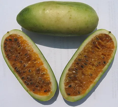 banana passionfruit: the fruit of several plants in the genus Passiflora, looking somewhat like a straight, small banana...