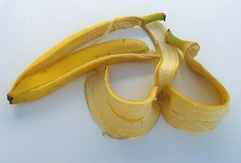 banana peel: the several outermost layers of a banana, especially once removed from the rest of the banana,...