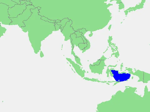 banda sea: a large sea bordering the Pacific Ocean near Indonesia and surrounded by many islands, such as...