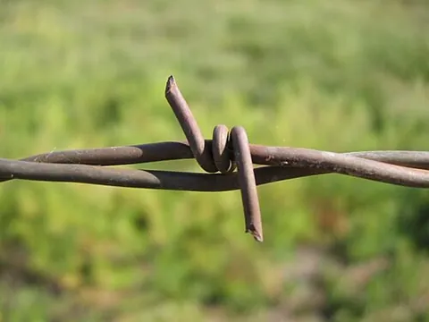 barbed wire: twisted strands of steel wire, often coated with zinc, having barbs evenly spaced along them; used...