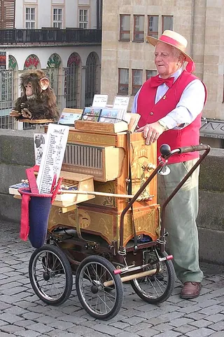 barrel organ: a musical instrument in which air from a bellows is admitted to a set of pipes by means of pins...