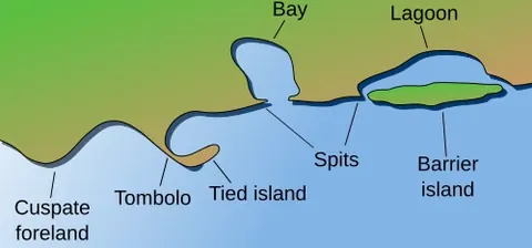 barrier island: an island that is close to, and parallel to, the main coastline