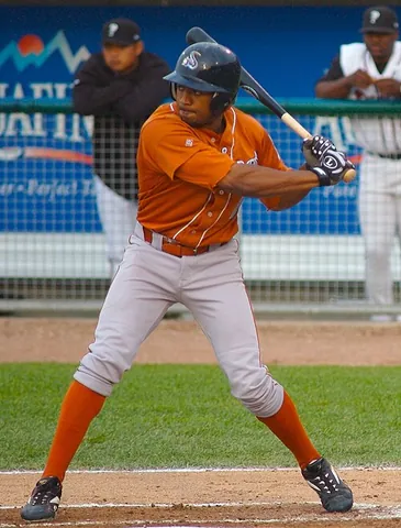 baseball player: one who plays baseball, especially professional baseball