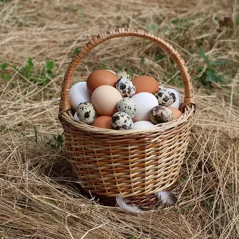 basket: a lightweight woven container, generally round, open at the top, and tapering toward the bottom