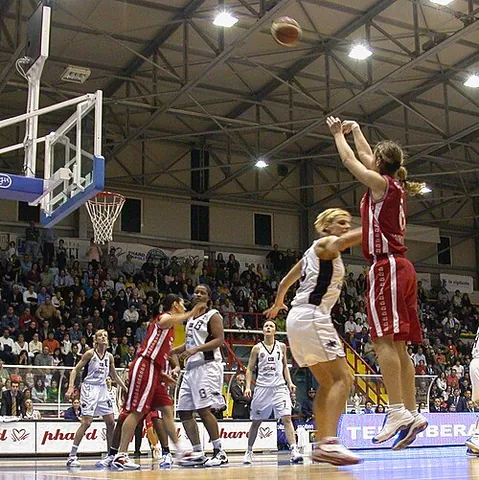 basketball: a sport in which two opposing teams of five players strive to put a ball through a hoop