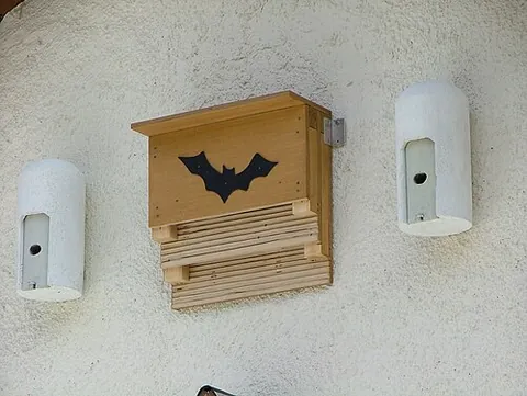 bat house: a nest box for bats