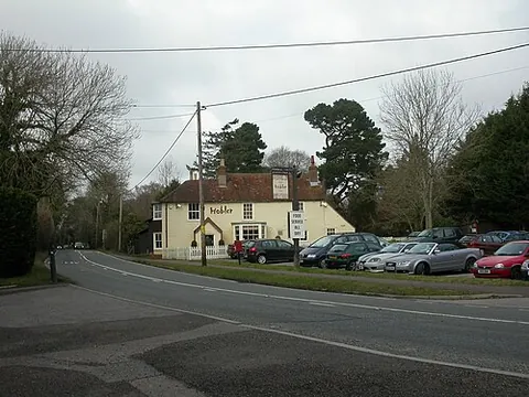 battramsley: a hamlet in Boldre parish, New Forest district, Hampshire, England (OS grid ref SZ3098)