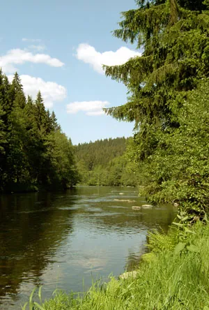 bavarian forest: a wooded low-mountain region in Bavaria, Germany