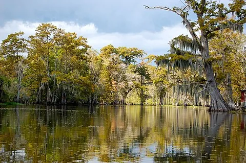 bayou: a slow-moving, often stagnant creek or river