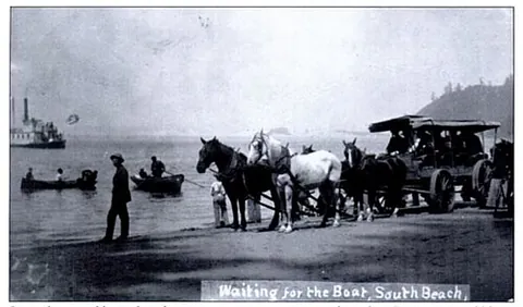beach wagon: a light open wagon with two or more seats, designed to transport people on sand