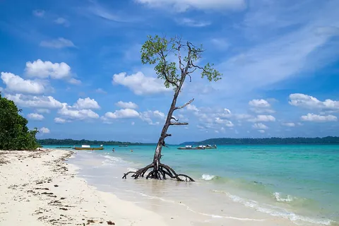 beach: the shore of a body of water, especially when sandy or pebbly