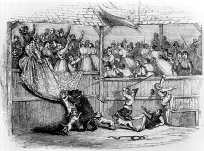 bearbaiting: a blood sport in which dogs are set upon a chained bear