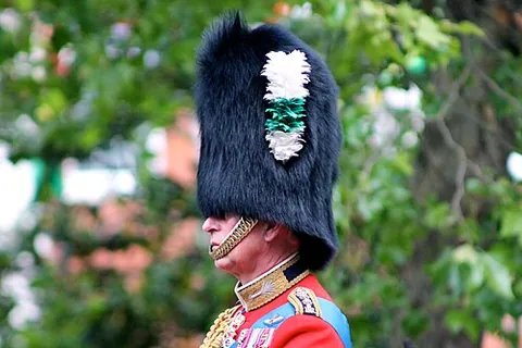 bearskin: the pelt of a bear, especially when used as a rug