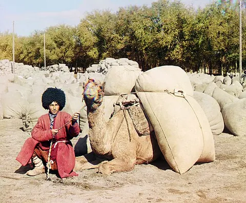 beast of burden: a domestic animal that performs heavy work for humans, such as carrying a load (on its body) or...