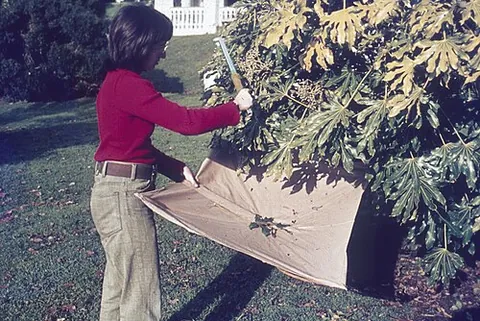 beat the bushes: synonym of pound the pavement (“to campaign diligently; to seek something”)