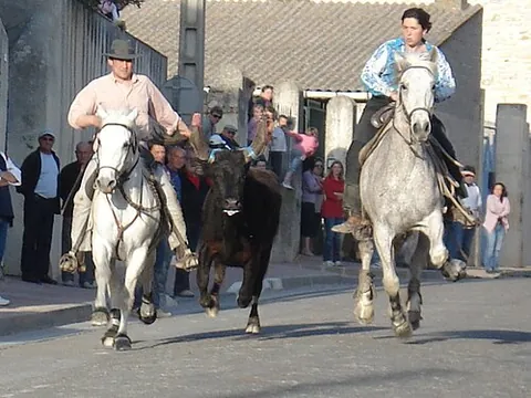 beauvoisin: a commune in Drôme department, Auvergne-Rhône-Alpes