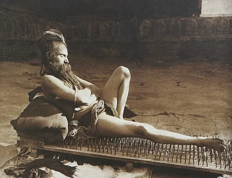 bed of nails: a piece of wood with nails pointing out of it, on which a performer lies as a circus trick