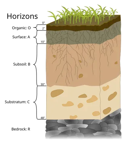 bedrock: the solid rock found at some depth below the ground surface