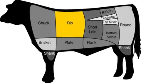 beef rib: a section of a cow from which meat is butchered