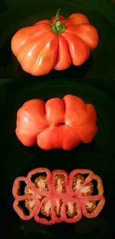 beefsteak tomato: a type of large tomato