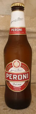 beer bottle: a bottle, commonly made of brown or green glass, designed as a container for beer