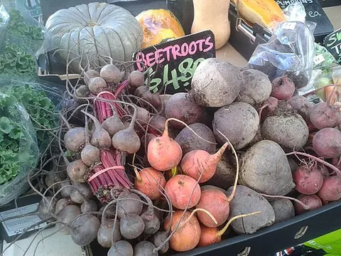 beetroot: a normally deep-red-colored root vegetable usually cooked or pickled before eating