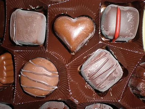 belgian chocolate: used other than figuratively or idiomatically: see Belgian, chocolate