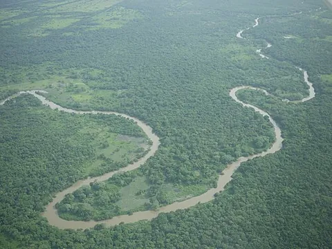 belize river: a major river of Belize, formed from the confluence of the Mopan and Macal rivers and emptying into...