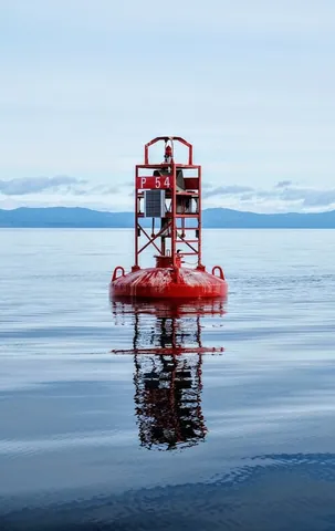 bell buoy: a buoy on which is mounted a bell with four clappers, hung inside an iron cage, which is rung by...