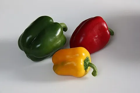 bell pepper: any of several bell-shaped varieties of Capsicum annuum, an edible, sweet, generally mild (not...