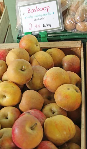 belle de boskoop: a tart and fragrant apple cultivar which originated in Boskoop, Netherlands