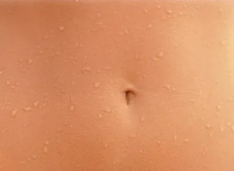 belly button: the navel