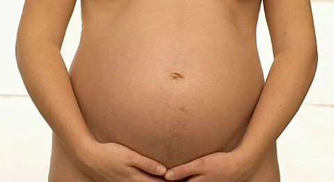 belly: the abdomen (especially a fat one)