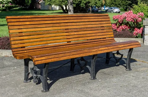 bench: a long seat with or without a back, found for example in parks and schools
