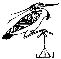 bennu: a self-created deity with the form of a bird (in New Kingdom artwork, a heron) that features in the...