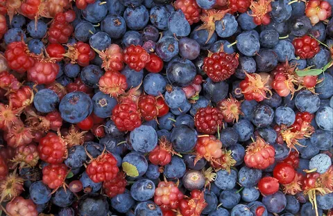 berry: a small succulent fruit, of any one of many varieties