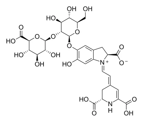 betalain: a class of red and yellow indole-derived water-soluble pigments found in beets and other plants of...