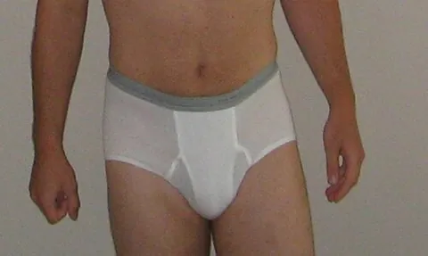 bibidees: men's or boys' briefs