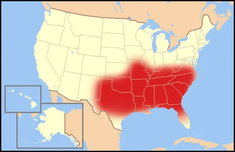 bible belt: an area where socially conservative Protestant Christianity is a pervasive or dominant part of the...